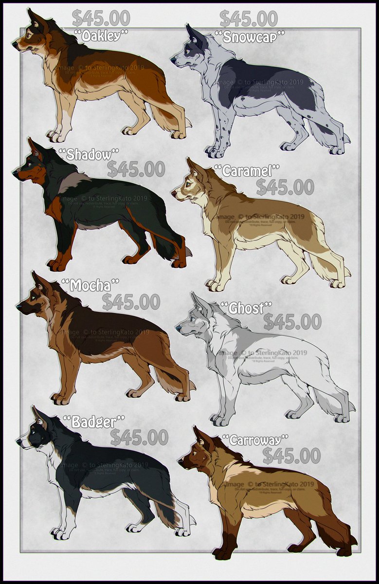 Kato ᓚᘏᗢ 🥔 tweet media