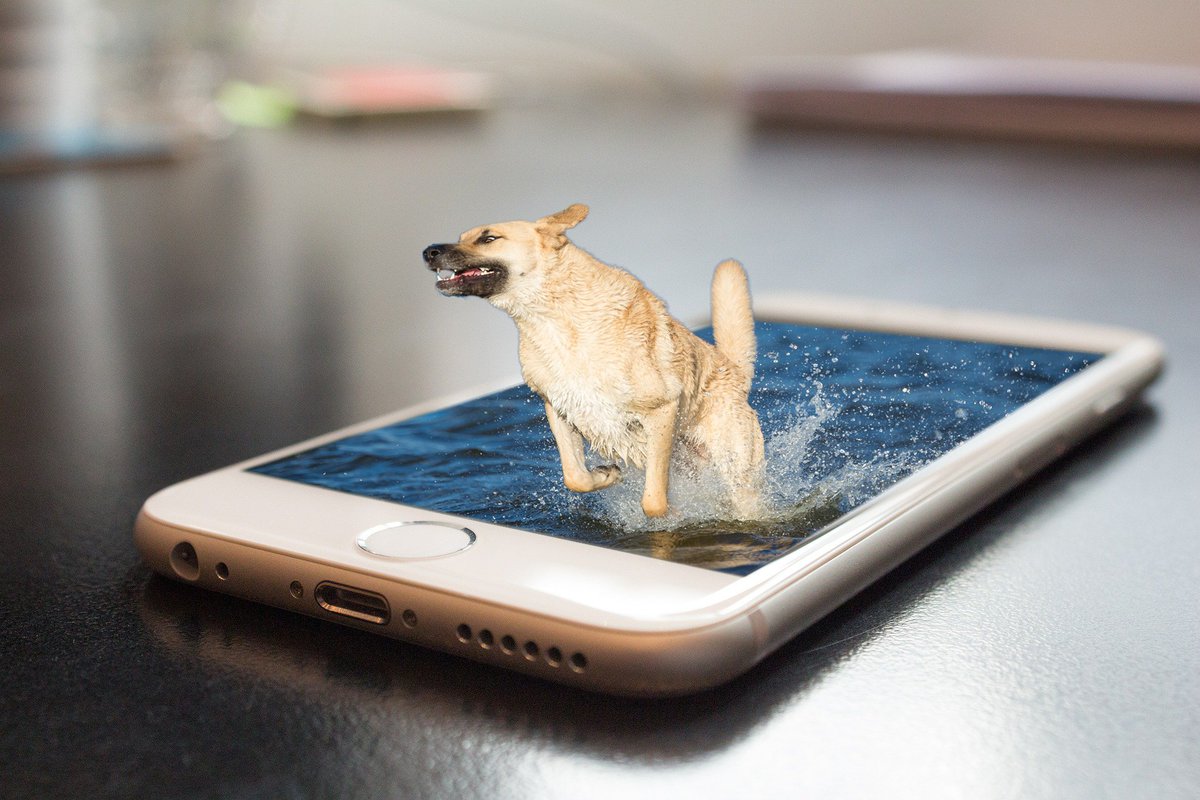 ayraphics's tweet photo. Effect
.
#manipulation #manipulationeffect #blendingeffect #photoshop #dog #sea_waves🌊🌊 #sea #doggy #doggo #masking #iphonemanipulationeffect  #graphics #graphichdesigner #graphicsdesign #gradientfill #innovation #innovative https://t.co/shGcaelTiG
