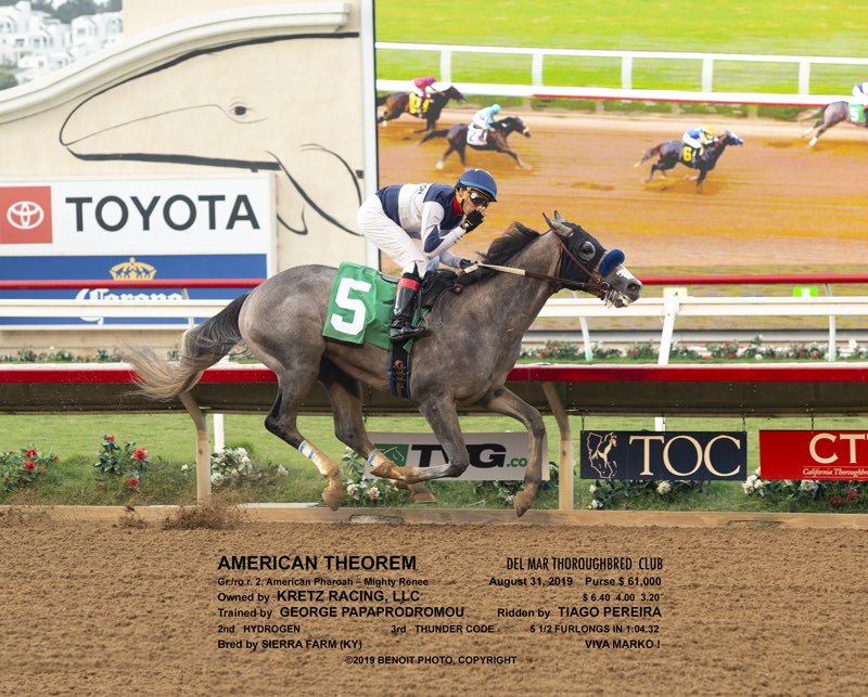 gap_racing's tweet photo. A huge congratulations to owner @KretzRacing as American Theorem breaks his maiden on debut! Great ride by Tiago Pereira. 👏🏻 #GAPRacing https://t.co/hsyq6jc0Ud