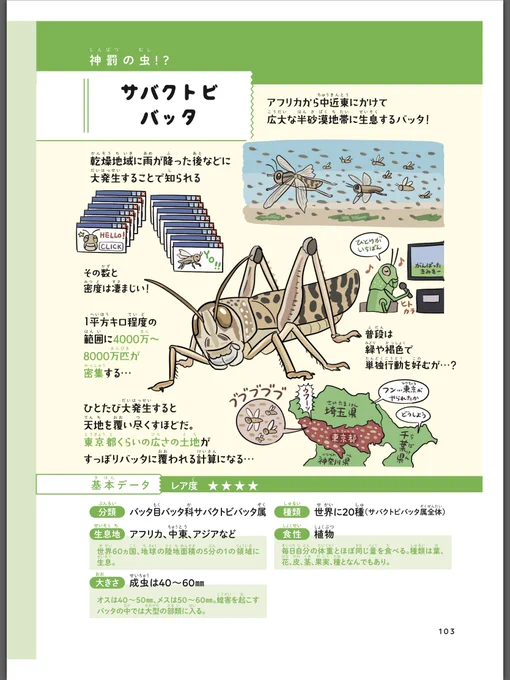 サバクトビバッタを（多分）モチーフにした『仮面ライダーゼロワン』の放送がついに始まったので、『ふしぎな昆虫大研究』からもサバクトビバッタのページを特別公開します。「神罰」と恐れられた脅威の昆虫ですが、面白い「変身」を遂げるバッタで… 