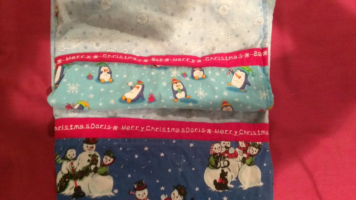 dorisophila's tweet photo. @drosophilosophy Don't wanna brag but I'm going to anyway - I gots me some customized Christmas pillow swag 😏😎 https://t.co/fd3rf6kbRA