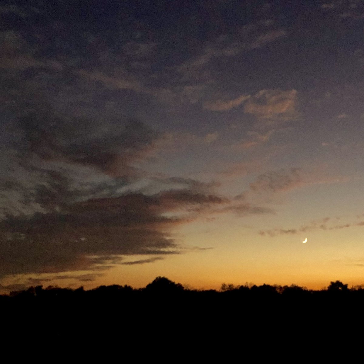TheMonkeybrad's tweet photo. Good evening, moon... https://t.co/GS8IBOXSiB