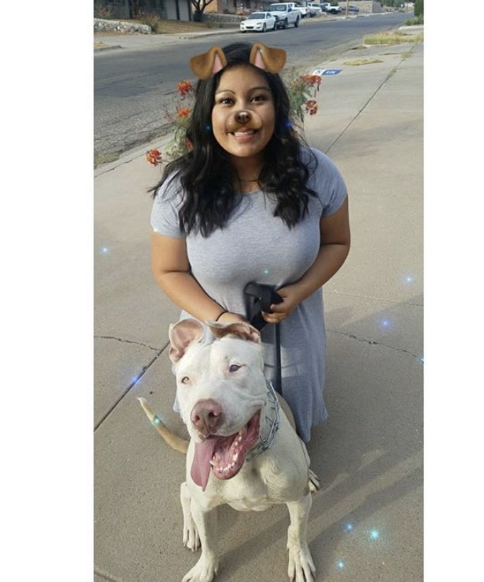 TECH GAMMAS tweet media