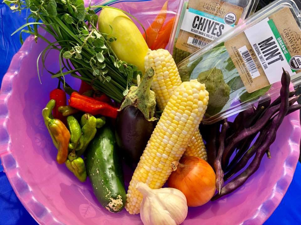DbgFarmers's tweet photo. #icymi Registered Dietitian McKenna Welshans rounded up fresh ingredients like these from our grower vendors, then whipped up four easy, delicious dishes for customers during market today. YUM! https://t.co/u2zIKeQIuJ