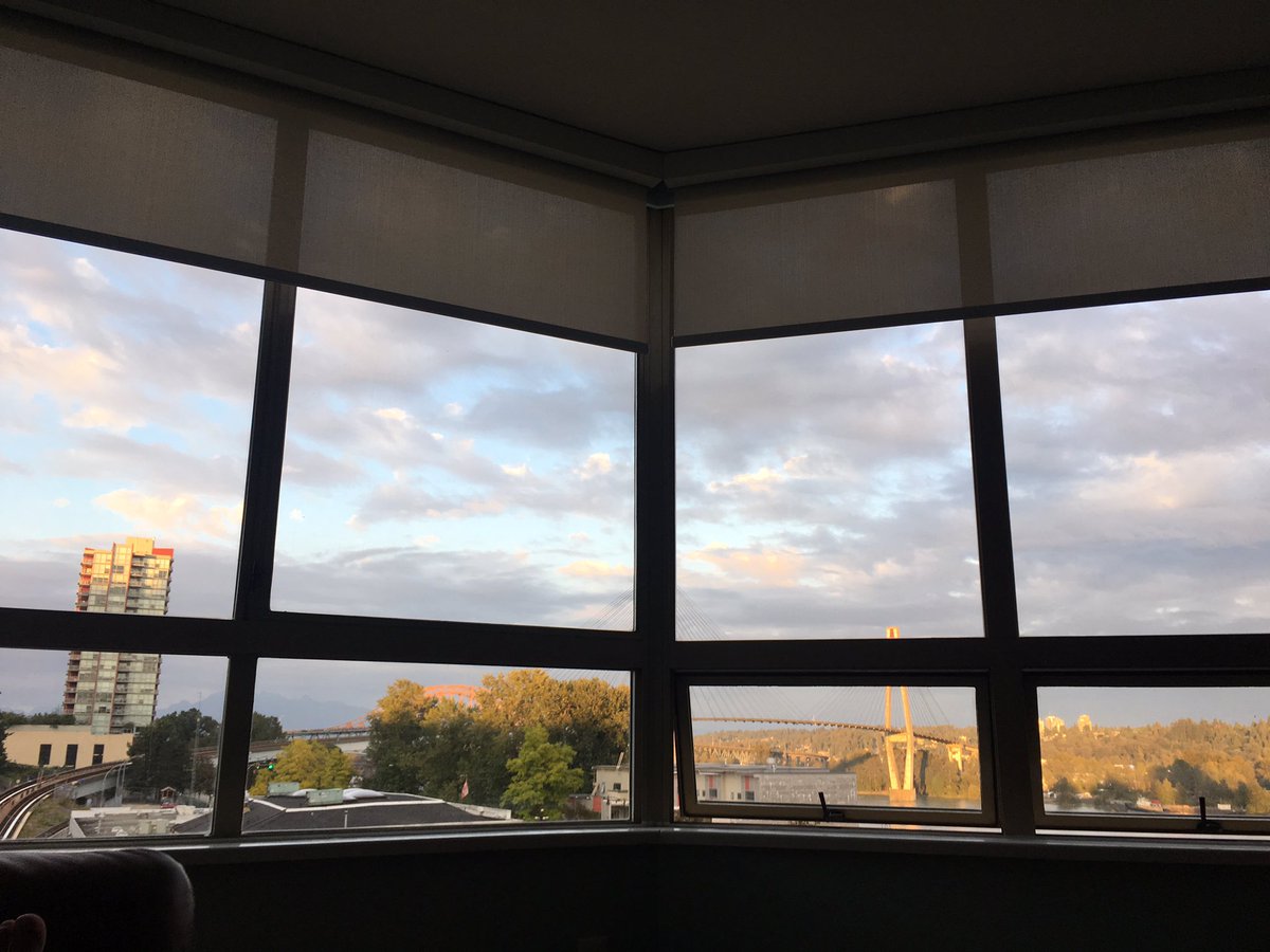baldgrrl's tweet photo. Evening rest. #nofilter #theMightyFraser #NewWest https://t.co/japPZWSETL
