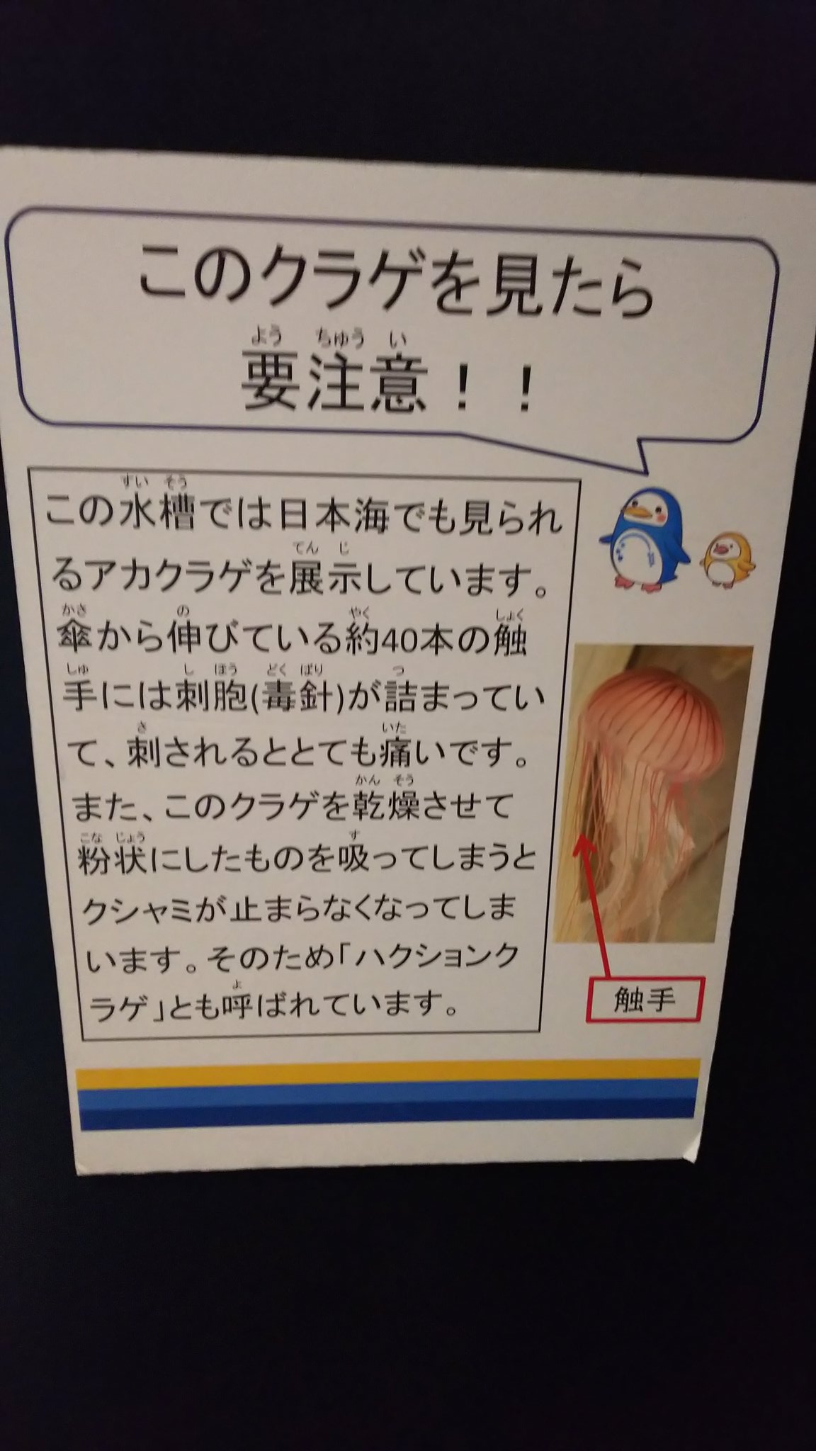 水族館の注意書きが謎過ぎる 普通そんなことしないから 話題の画像プラス 水族館の注意書きが謎過ぎる 普通そんなことしないから 話題の画像プラス