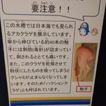 水族館の注意書きが謎過ぎる!普通そんなことしないから!