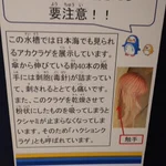 水族館の注意書きが謎過ぎる!普通そんなことしないから!