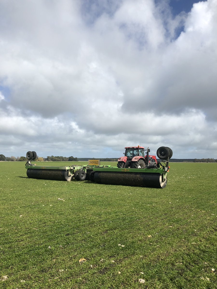 Nice day for a roll #mandako