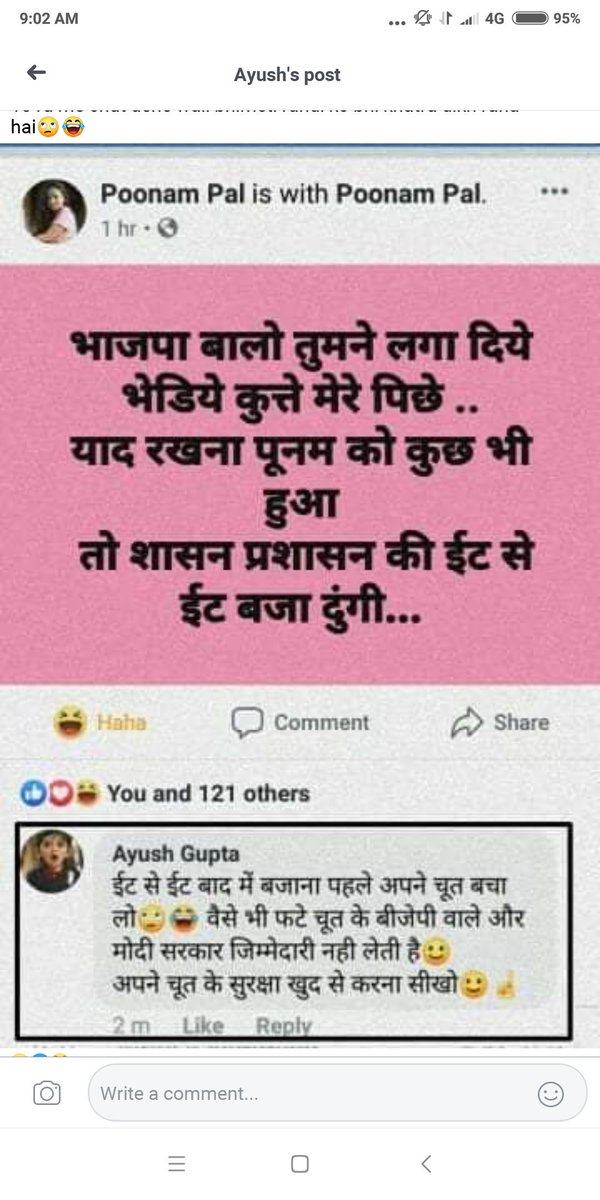 Shepherd Tiger Force India tweet media