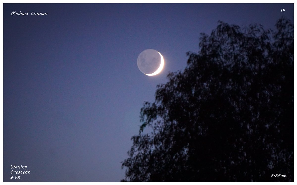 August 28th Waning Crescent Moon 9.9th% with Earthshine in Wodonga Australia #StormHour #moon #luna #moonshot #Moon_awards #astrophotography #astronomy @CherScheff @KayMcCaffery1 @KarinaFayArt @PicPublic @PicPoet @PicBallot #500pxrtg @ThePhotoHour @BonfirePictures @500pxrtg