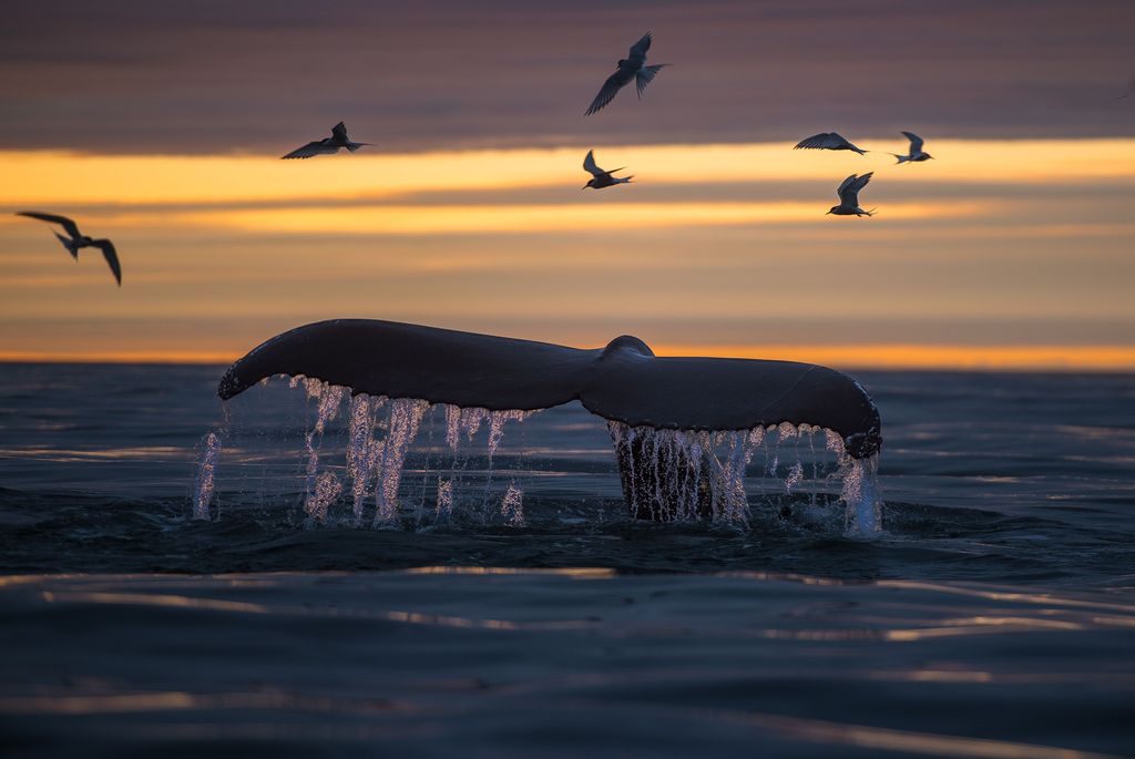 It's a new month, make it an amazing one! It's September 01, 2019 at 05:05AM Photo via natgeo