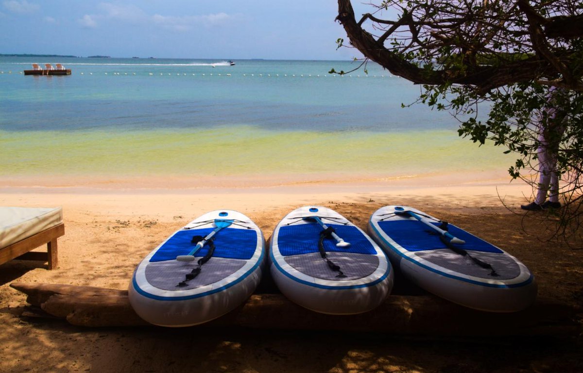 🅰🅻🆅🅰🆁🅾 🅰🅱🆁🅸🅻 tweet media