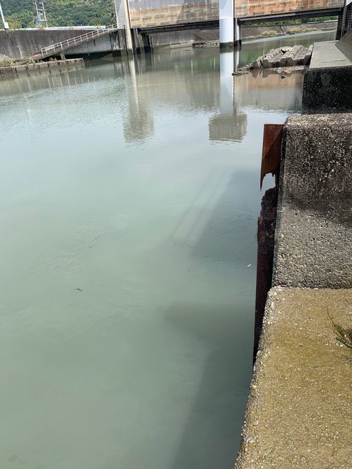 高知 県 水難 事故