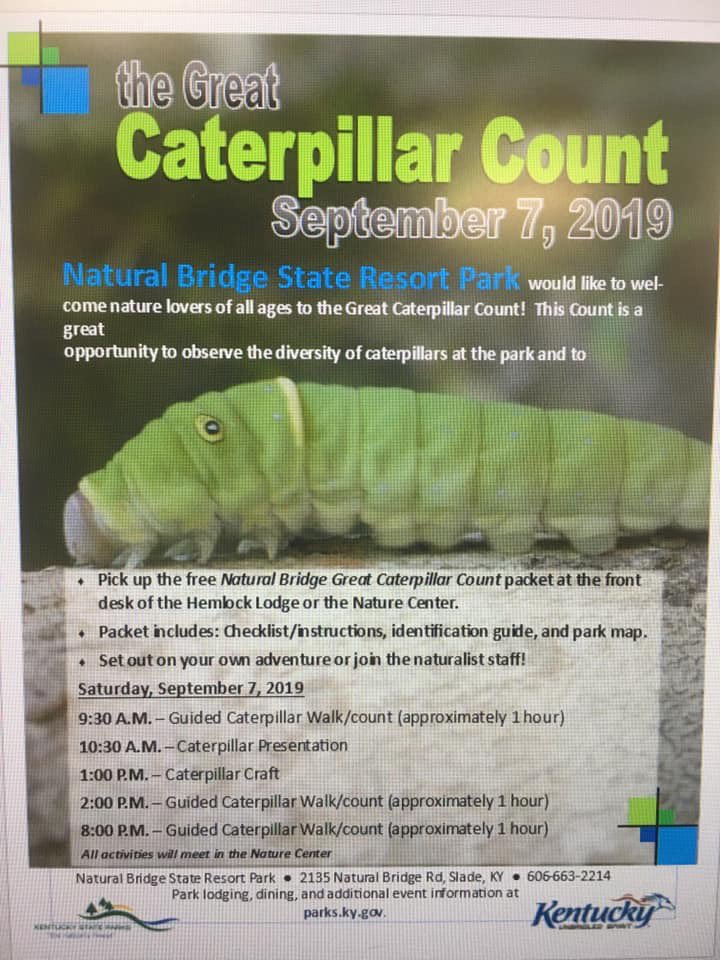 KYLepidopterist's tweet photo. @HikeKy Thanks for the Twitter love! I can’t wait to hike around @KYStateParks Natural Bridge looking for caterpillars such as these amazing ones. Hope to see you there 😊🐛❤️ https://t.co/VssMkSS3rV