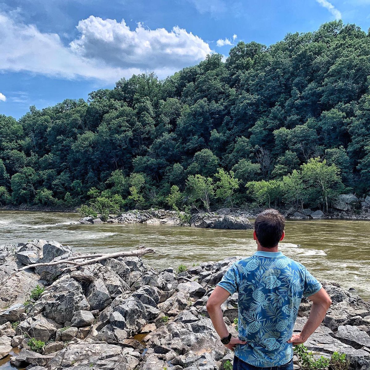 elkouteini's tweet photo. 🇺🇸 At The Great Falls from The #Maryland side. I prefer it much more than #Virginia side. Nice long hikes and a lot of beautiful nature sceneries

#usa #visitusa #us #greatfalls #hike #nature #waterfall #river #travel #tripmaximizer 
#سفر #امريكا #ماريلاند #فرجينيا https://t.co/cWb6XfH2Ge