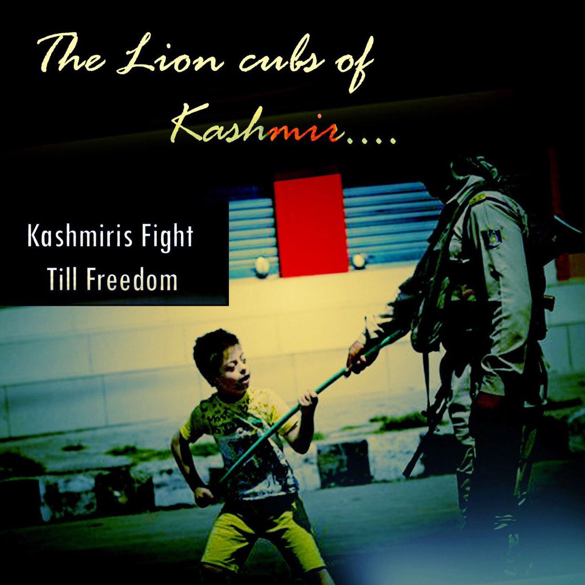 Fariyak08203689's tweet image. You don't need to be muslim to support kashmiris you have to be a human that is enough. 
#KashmirisFightTillFreedom #kashmirisbleeding