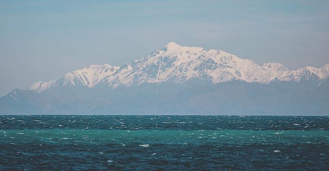 ben_walker tweet media