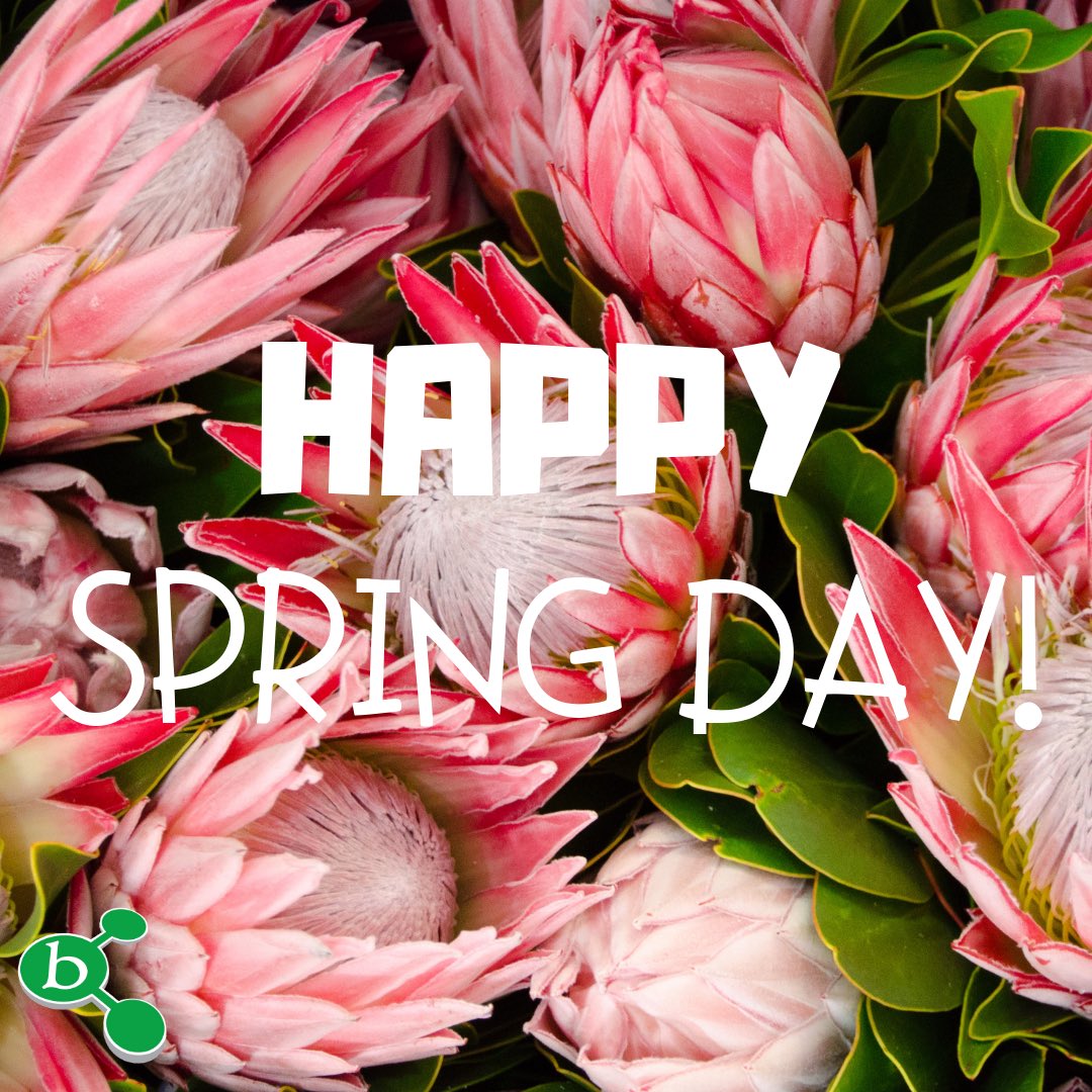 BuchuLife tweet media