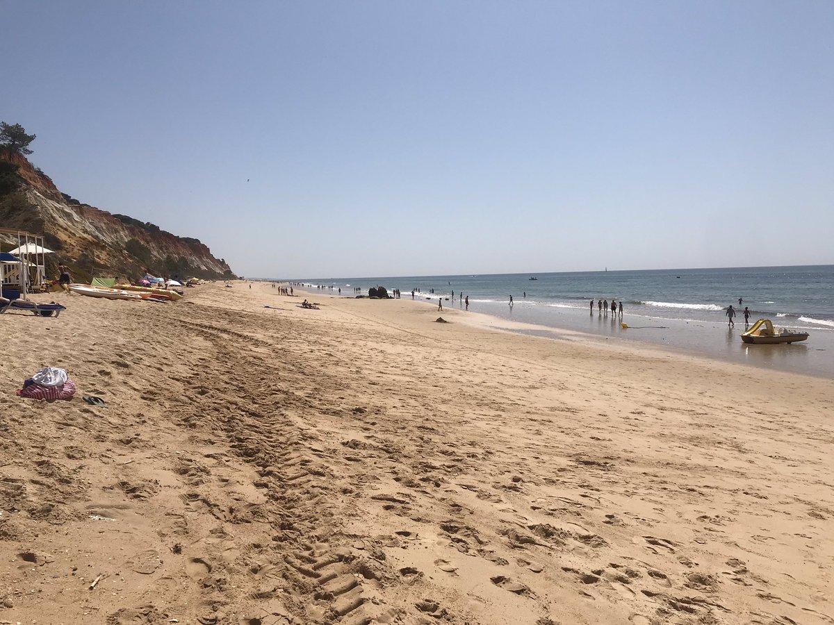 Mike Graham 🇬🇧 tweet media