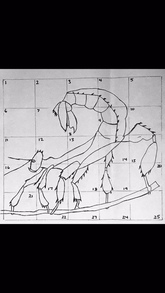 Power of collaboration! It never ceases to amaze me what 6 &amp; 7 year olds can achieve. <a href="/NicCrawford17/">Nicole Crawford</a> #bettertogether