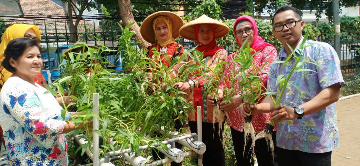 rptrakarangany2's tweet photo. 28, agustus, Panen kangkung Hasil budidaya Hidroponik dgn bobot,  350 gr. per kantong dan terjual sebanyak 6 kantong, Dan di hadiri : TP,PKK Kecamatan sawah besar(IBU AVA DHINA) Ketua TP, PKK kel. karanganyaribu meiwah serta para kader PKK, 
@Ermasuryani63 
@kusumawati_tuty https://t.co/cMdutwADLz