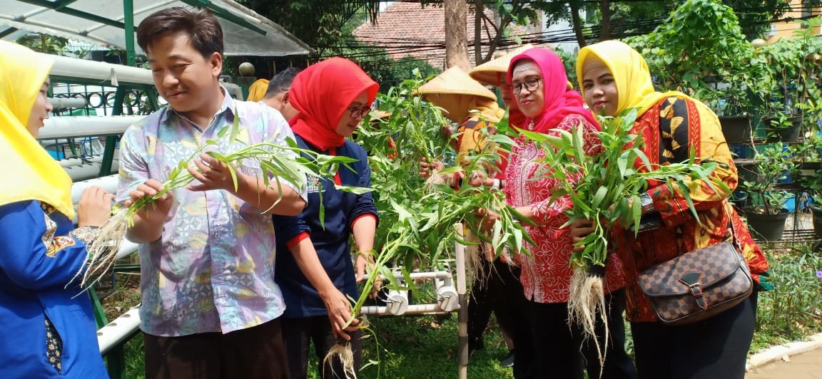 rptrakarangany2's tweet photo. 28, agustus, Panen kangkung Hasil budidaya Hidroponik dgn bobot,  350 gr. per kantong dan terjual sebanyak 6 kantong, Dan di hadiri : TP,PKK Kecamatan sawah besar(IBU AVA DHINA) Ketua TP, PKK kel. karanganyaribu meiwah serta para kader PKK, 
@Ermasuryani63 
@kusumawati_tuty https://t.co/cMdutwADLz