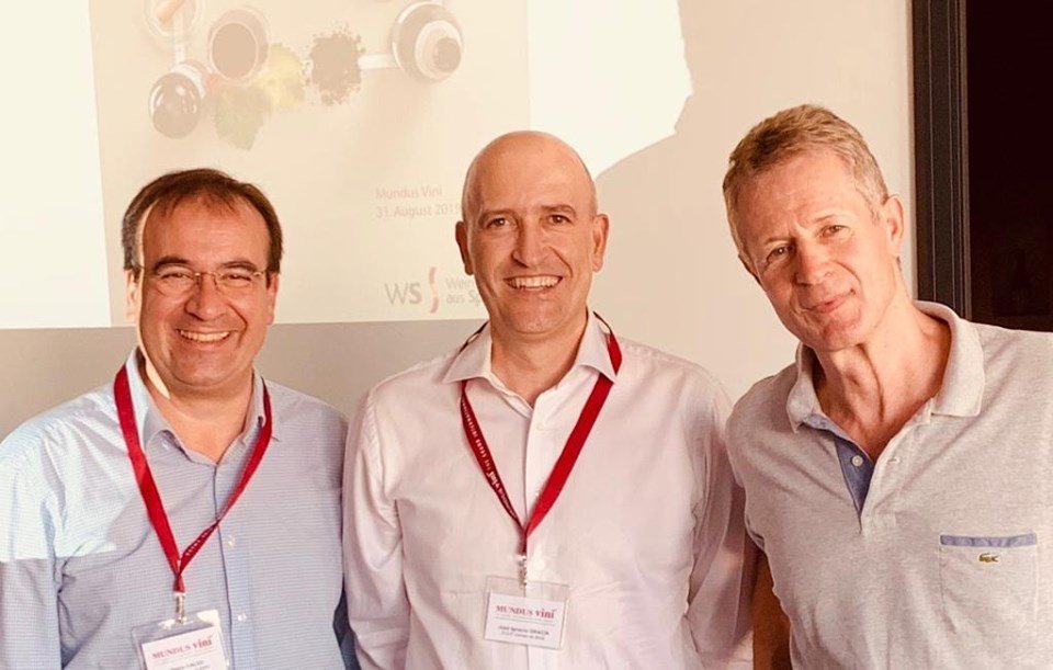 DOP Campo de Borja tweet media