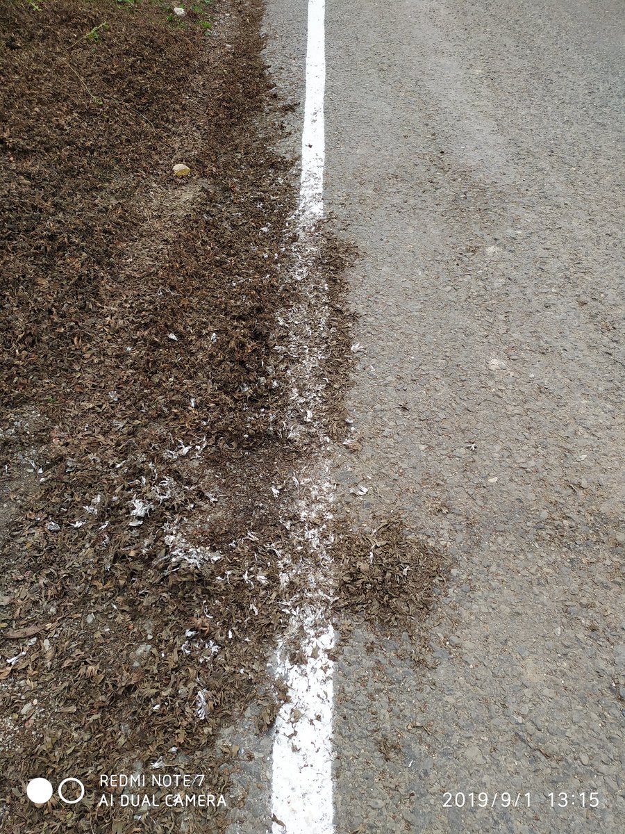 Beyaz çizgi=Tatilim
Diğeri de tabiki fındık😒 <a href="/Orduca_/">Orduca</a>