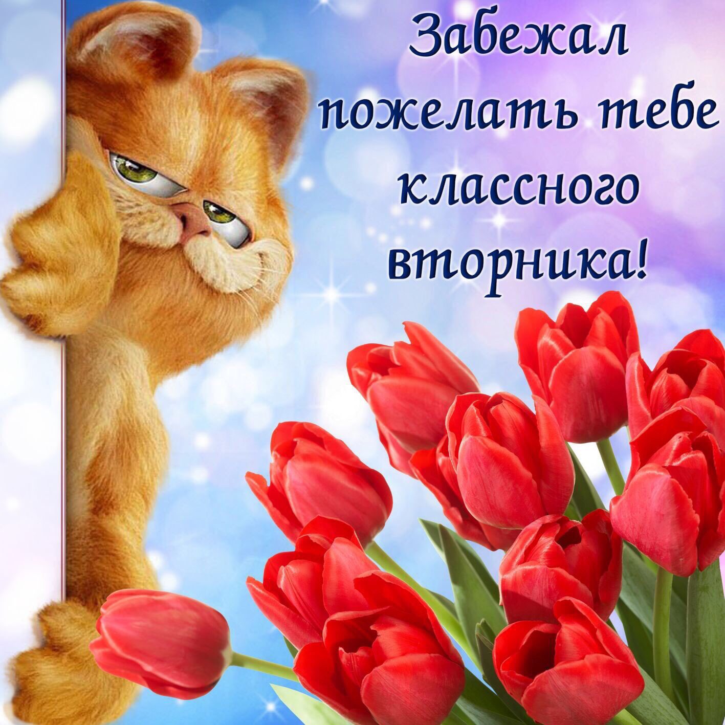 https://pbs.twimg.com/media/EDXBpeAXkAEiSXl.jpg:large