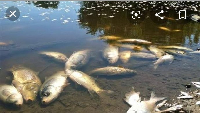 AKalabari's tweet photo. SPDC destroyed our aquatic lives, polluted our environment and made lives uncomfortable for us.We want Belema Oil to take over OML 25. https://t.co/CvrpgzJqQa