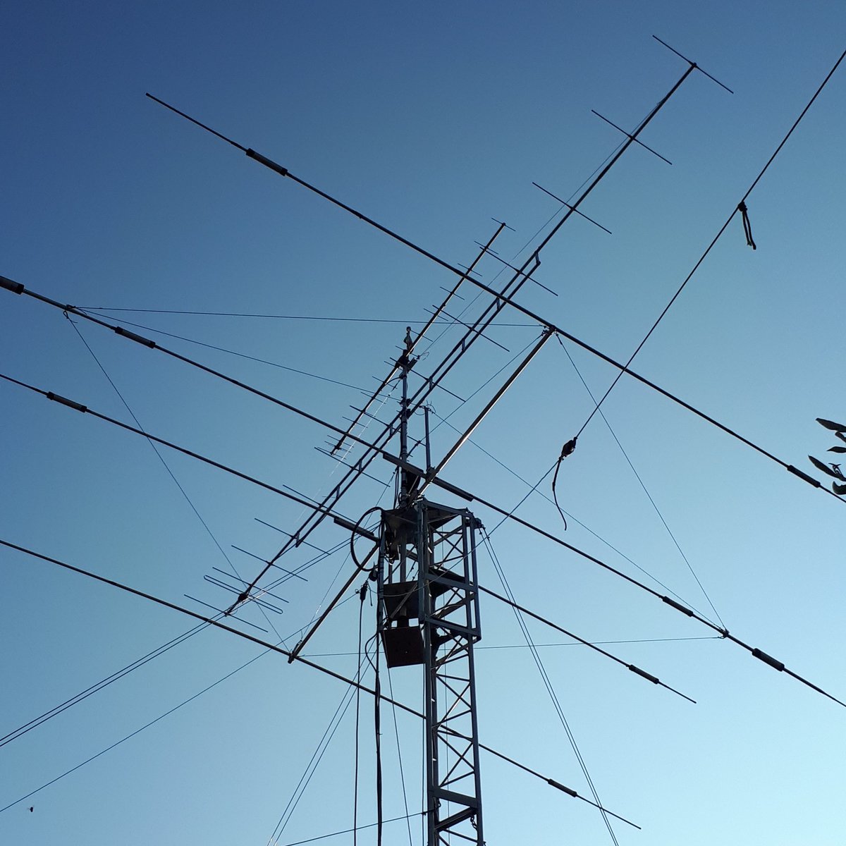 trailpaolo's tweet photo. My #Antenna #today https://t.co/emtnCaWjUp