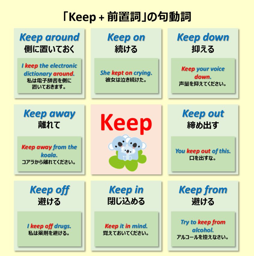 こあたん こあらの学校 See Look Watchの違いはこちら こあたん こあらの学校 See Look Watchの違いはこちら