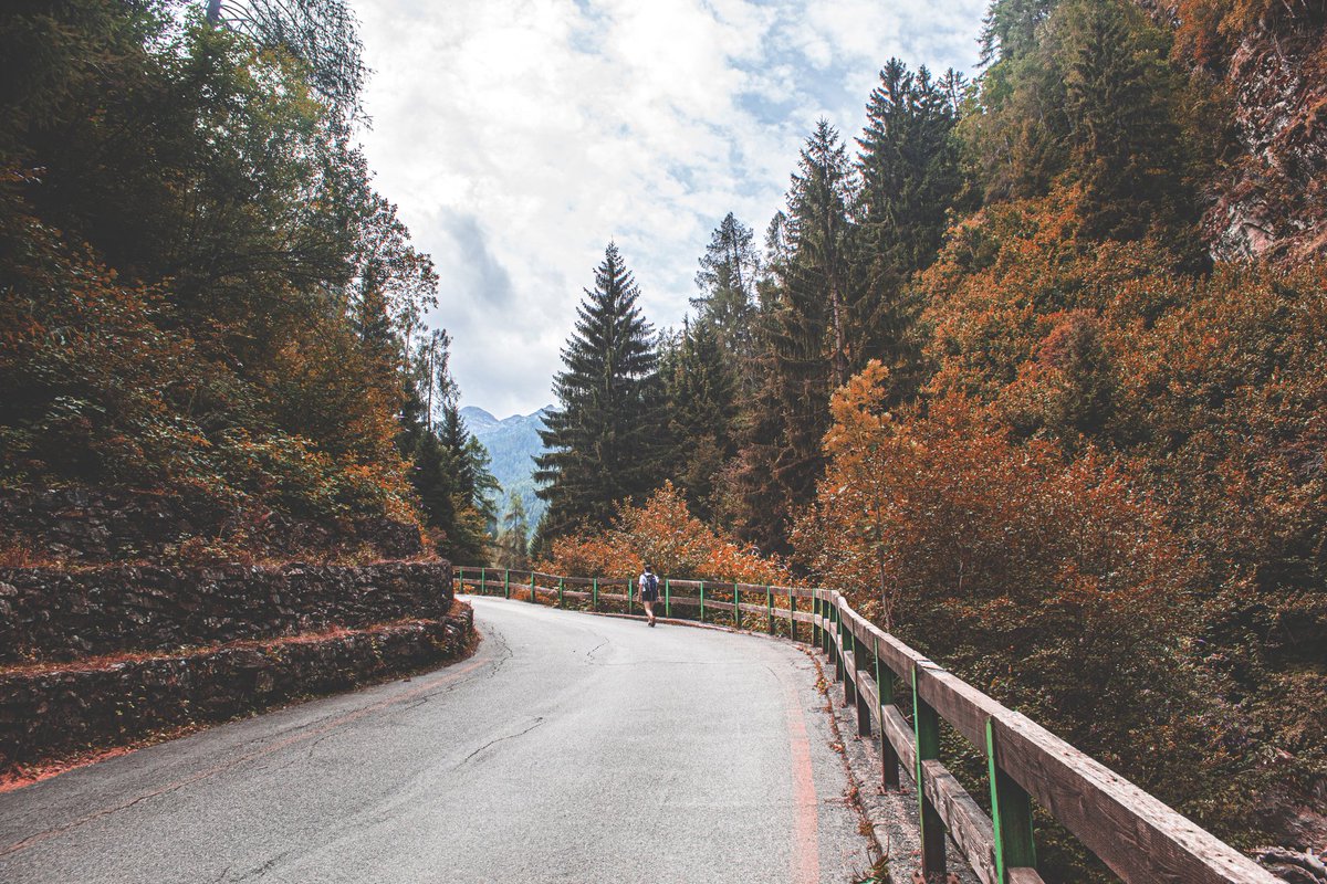 inside_natural's tweet image. #photography #photo #photograph #photographer