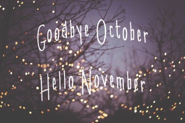HelloNovember3's tweet image. 