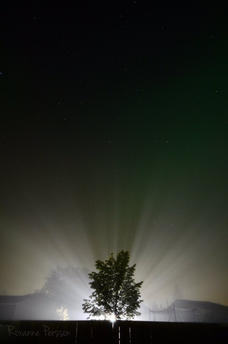 Heavy fog kept me close to home &amp; off the roads but I still managed to see that massive fireball and some faint auroras.  12:45am 01SEP2019 #yeg #fireball #auroras <a href="/TweetAurora/">Aurorasaurus</a> <a href="/TamithaSkov/">Dr. Tamitha Skov</a> <a href="/AuroraMAX/">AuroraMAX</a> <a href="/EdmontonRASC/">Astronomy Edmonton</a> <a href="/TownofDevon/">Town of Devon</a>