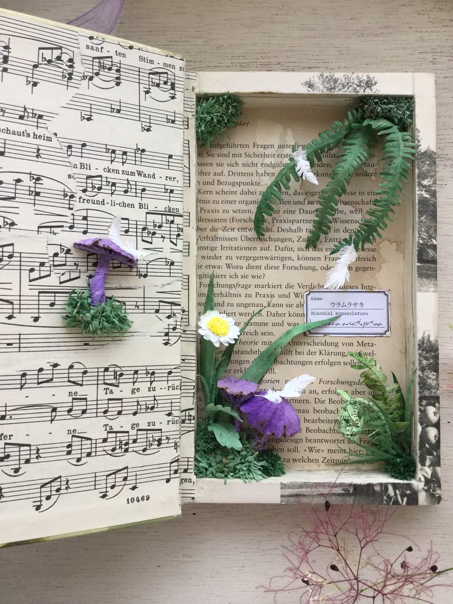 Locca ペーパーボタニカルアート ペーパーフラワー ウラムラサキ に ヒナギク をちょっと足してみた あくまでもウラムラサキの標本ブックアートですのよ 幸せの天使の羽がきのこに舞い降りたの 夢叶って 空飛ぶきのこになったとさ 左 本は