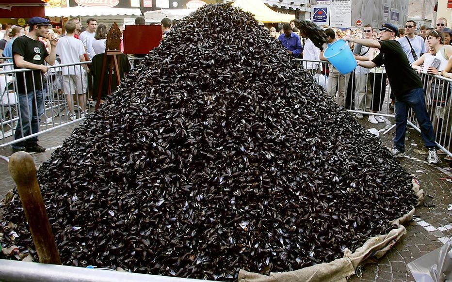 Plaine Images By The End Of The Braderiedelille You Will Find Huge Piles Of Mussels In The Streets Of Lille Jumping Into Them Is Supposed To Be Good Luck If