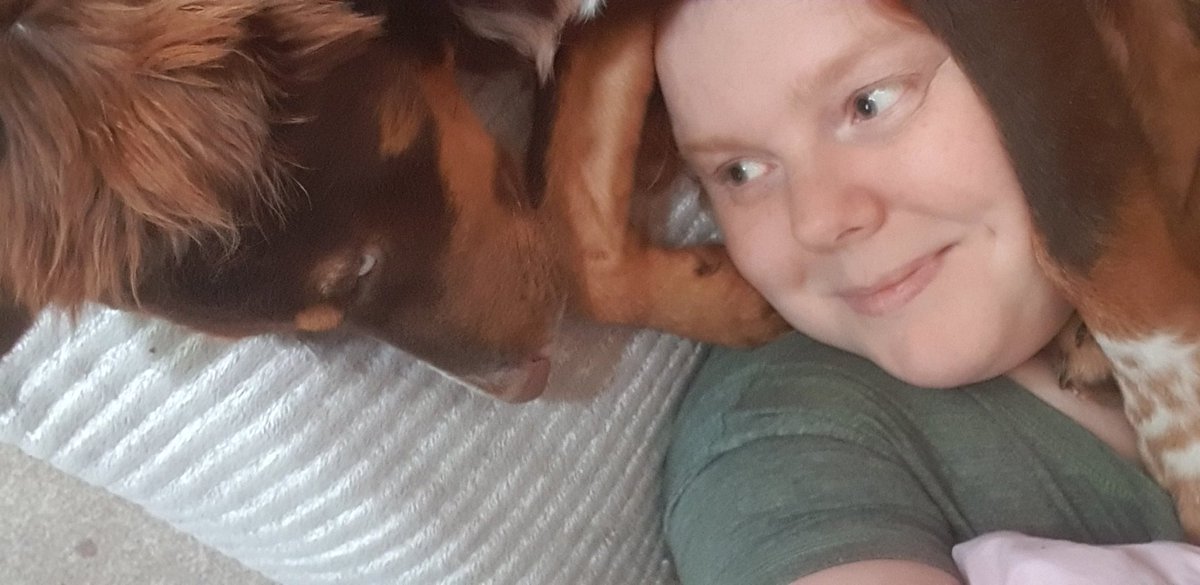nikkilou25's tweet photo. Morning Tweeters. Today is Sunday and Mummy says Sunday mornings are for blankets and snuggles...I was happy to join in and give her head a big squeeze. I think I like it here. Thank you to my friends @ZanteStrays for sending me here 🇬🇷🇬🇧
Phoibe 🐾🐾#ZanteStrays #AdoptDontShop https://t.co/hy8tSRjsIo