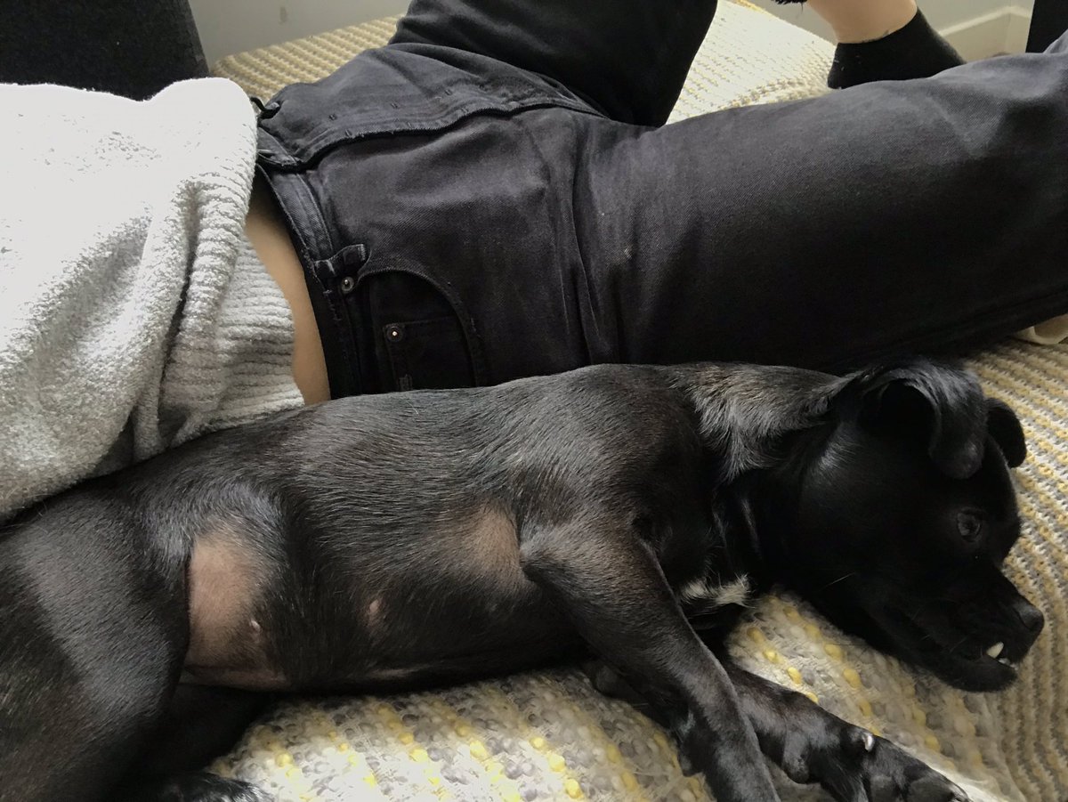 DaniellexxClark's tweet photo. 🥺 https://t.co/FE5r78e7qQ
