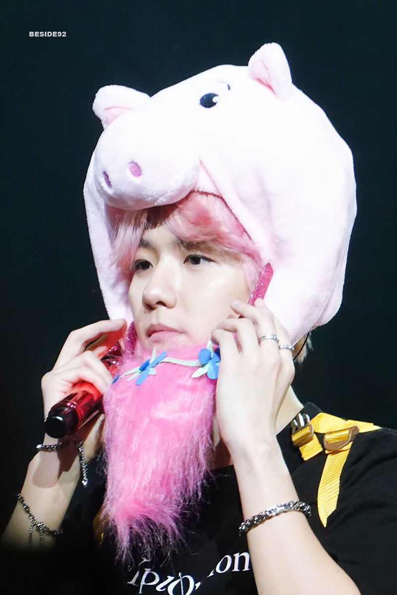 beside9292's tweet photo. 190824 #BAEKHYUHN @B_hundred_Hyun 🐷🌸💖💖💖💖💖💖💖💖💖 https://t.co/5hj2PIyosS