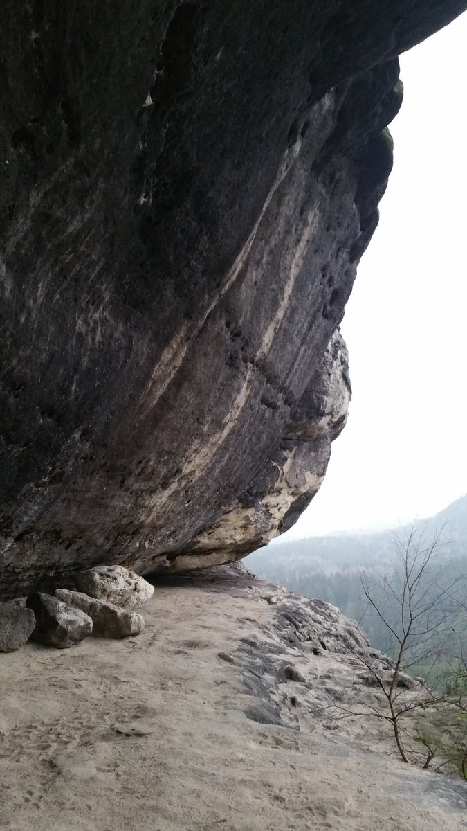 MarionFiedlerTN's tweet image. Happy Sunday photo greeting! Today I am sharing an inspiring landscape with you. Please feel inspired to share one back with me! 

Many hugs. 
Marion 

#AMarionThang #Travelnerd #Nature #Treehugger #OnMyWay #Songwriter #Inspired #WalkingIsFun #Outdoorsy