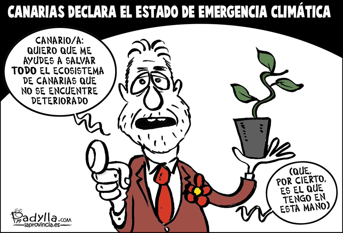 Padylla's tweet photo. Emergencia climática en Canarias
Hoy en @laprovincia_es y @eldia https://t.co/oL3eicQgS2