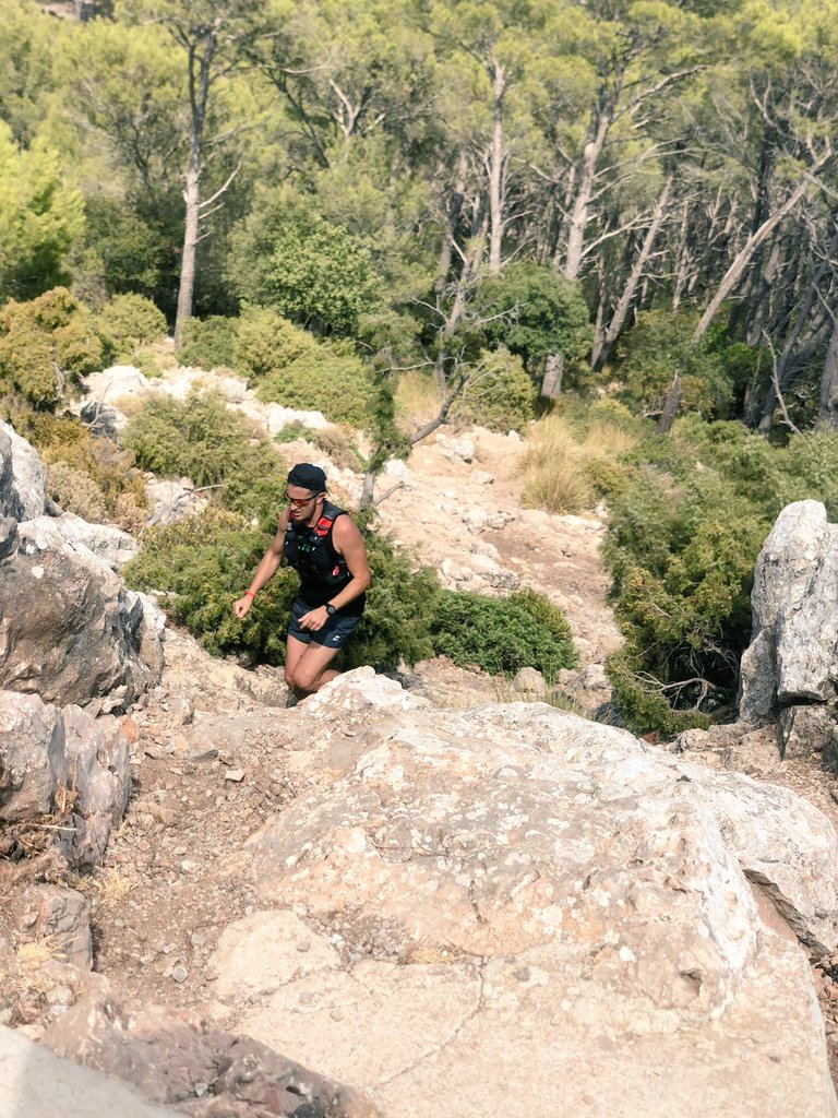 TerronesVidal's tweet photo. #comunabunyola #garminrunning
#penyaldhonor #berun #strava #runningmorning https://t.co/llCRTzqm9O