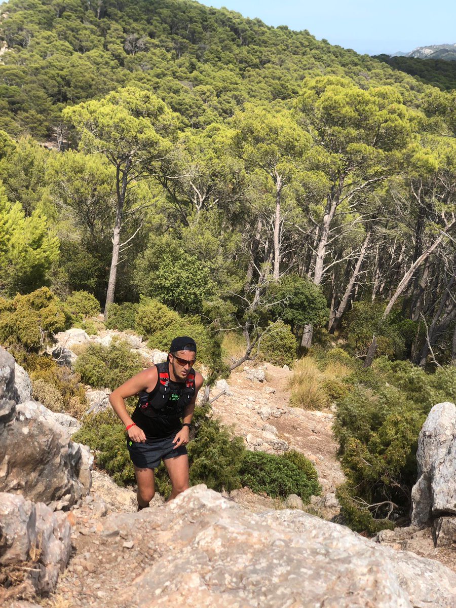 TerronesVidal's tweet photo. #comunabunyola #garminrunning
#penyaldhonor #berun #strava #runningmorning https://t.co/llCRTzqm9O