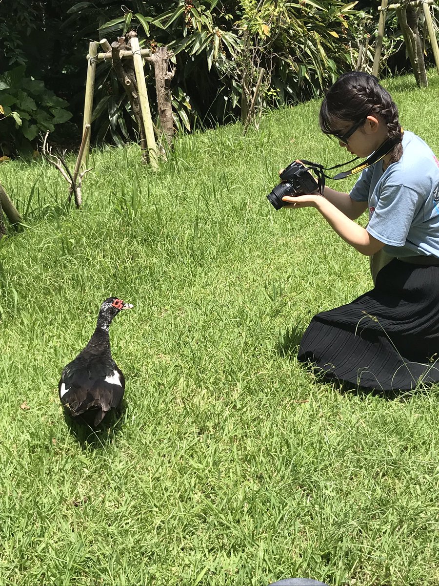 にゃ ｏ W ノ 首里城にいた バリケンという鳥 首里城 バリケン