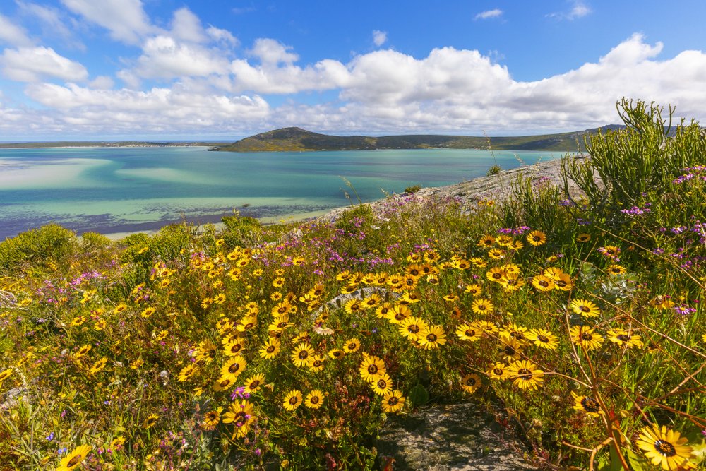 TourvestDM's tweet photo. Hello there 1st of September... ππΊπ»πΉπΌπ·πΈ
Happy #SpringDay everyone!
#SundayMorning #SundayThoughts #SundayMotivation #TourismMonth #SpringDay2019 https://t.co/0co6FyS9f1