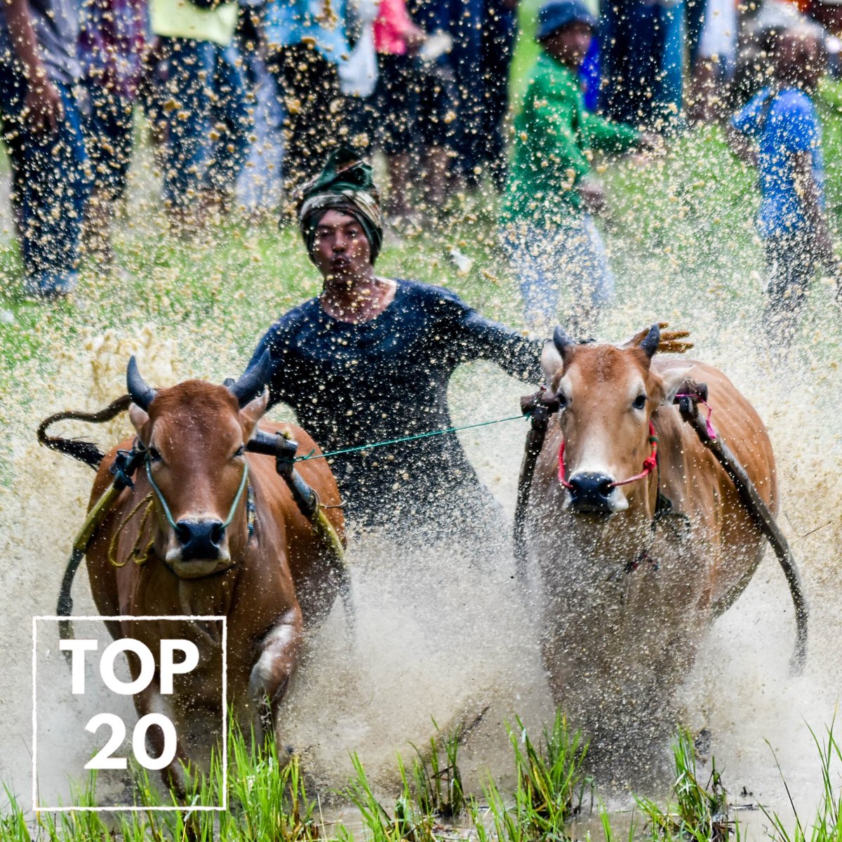 28Muse's tweet photo. TOP 20
•
Here are 🏅THE BESTS🏅 of Muse 13th's best captures!📸
•
MUHAMAD FEBRI AKBAR PERKASA
"Pacu Jawi"
•
Congratulations to all of the winners!🎉
And if you don't win this year's competition, don't be sad, there's always another chance!🕊
#28Muse
#MUSE13th https://t.co/3J8IhsIoPa