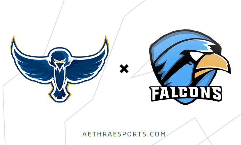 We are excited to announcement our cooperation with <a href="/ToxicFalcons/">ToxicFalcons eSports</a> . Together with ToxicFalcons we will be rebranding this means a new name, a new logo, and greater bunch of people that are part of the organization

From now on we will be known as Aethra Esports (Aethra Esports)