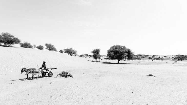 PFE_FWP's tweet photo. Facilitating the greatest synergies between reforestation and access to drinking water, sanitation and hygiene to stabilize #Sahel populations: discussions at #WWWeek_2019 between @OSS_Comms and @PFE_FWP for a Great Green Wall project + https://t.co/wDi8otSc93